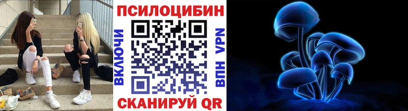 купить наркотик Нальчик Псилоцибиновые грибы прущие грибы